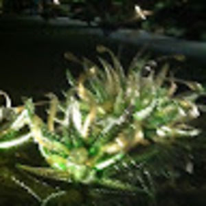 Meet your Posher, Christy